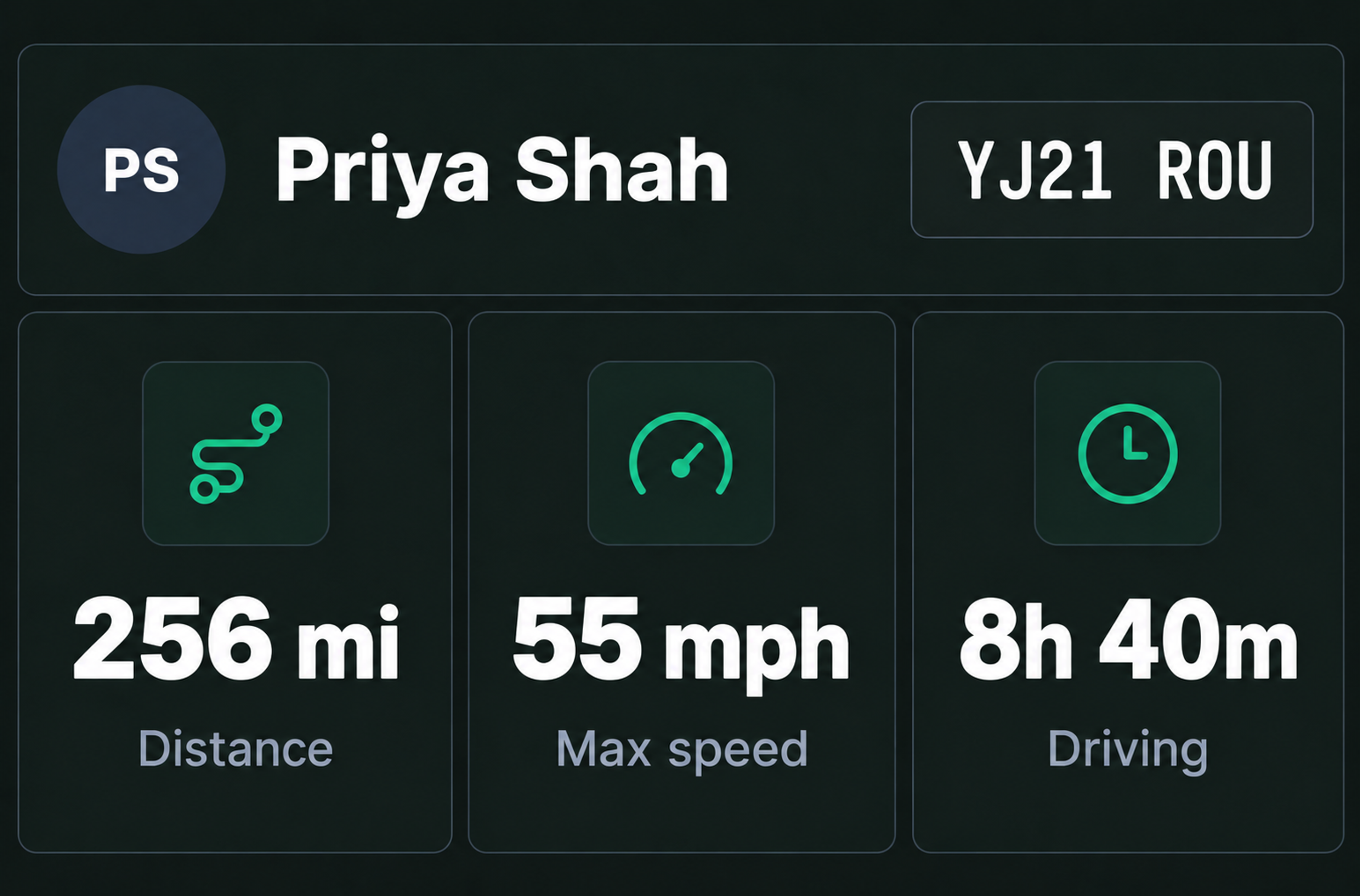 A driver's record alongside the vehicle's distance, top speed and driving time