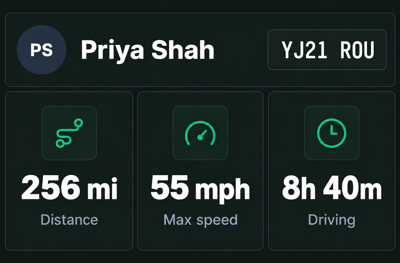 A driver's record alongside the vehicle's distance, top speed and driving time